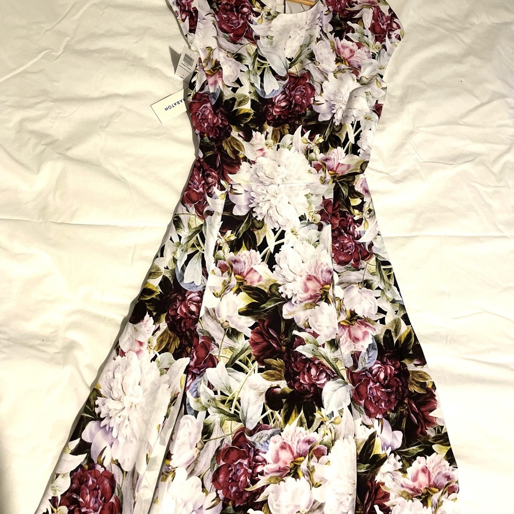 Babaton
Hamptons Dress